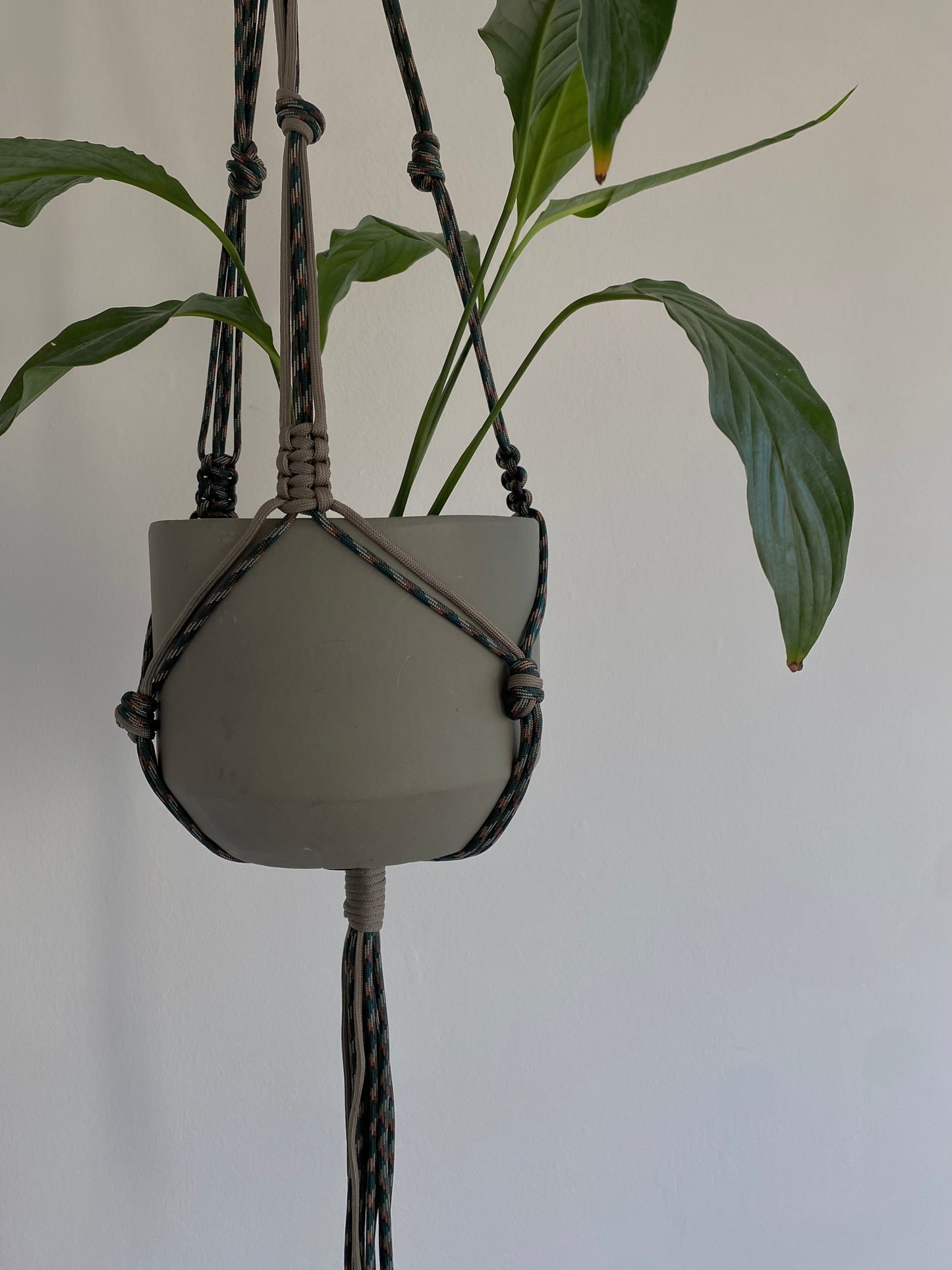 plant hanger//green/brown