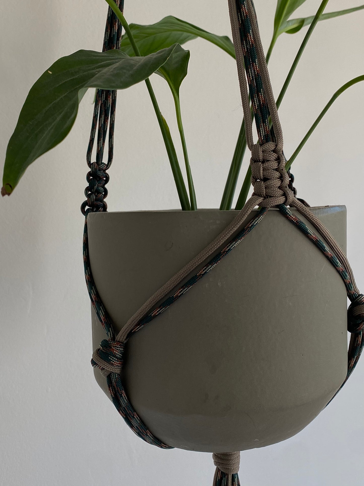 plant hanger//green/brown