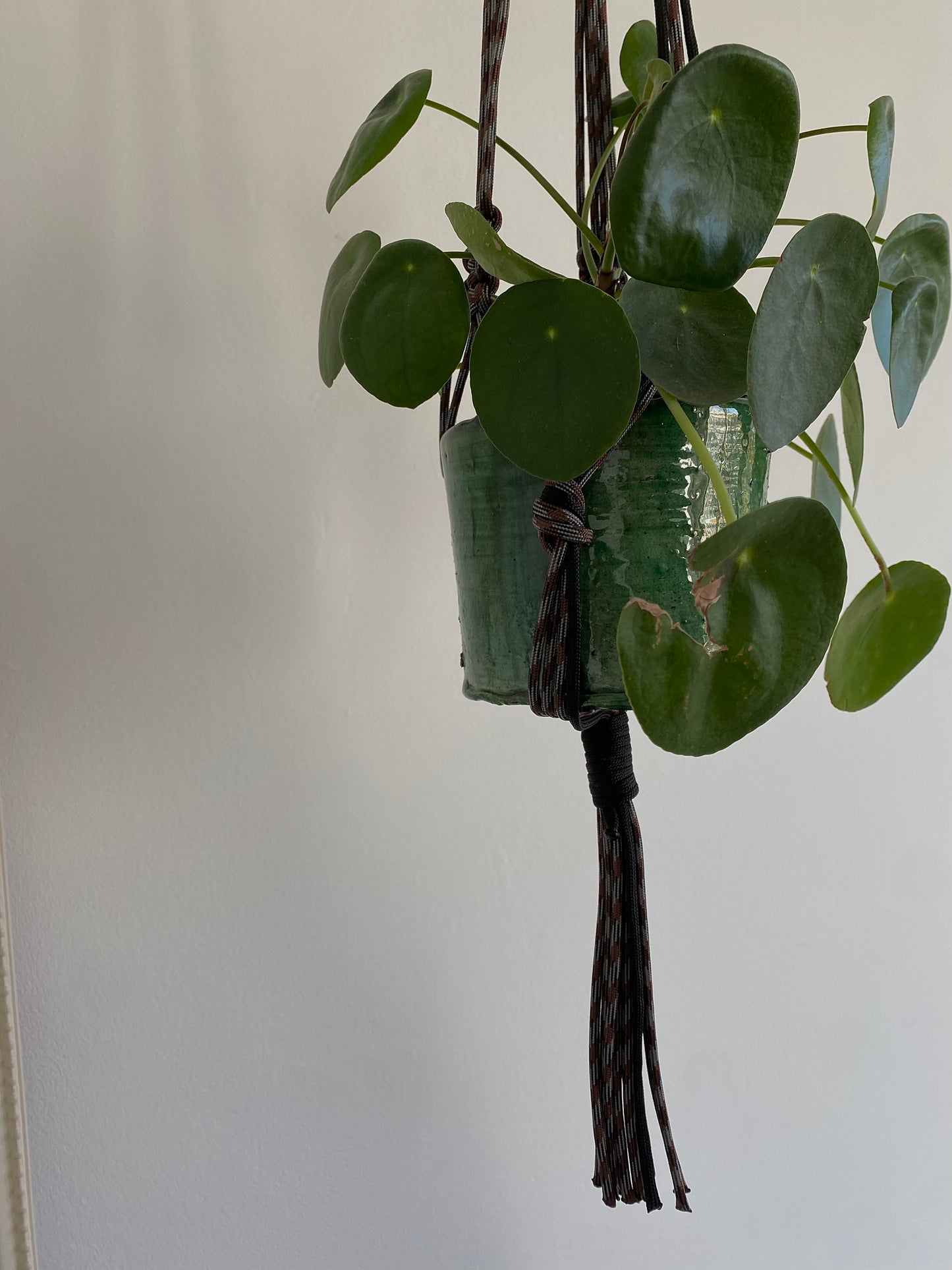 plant hanger//brown/black