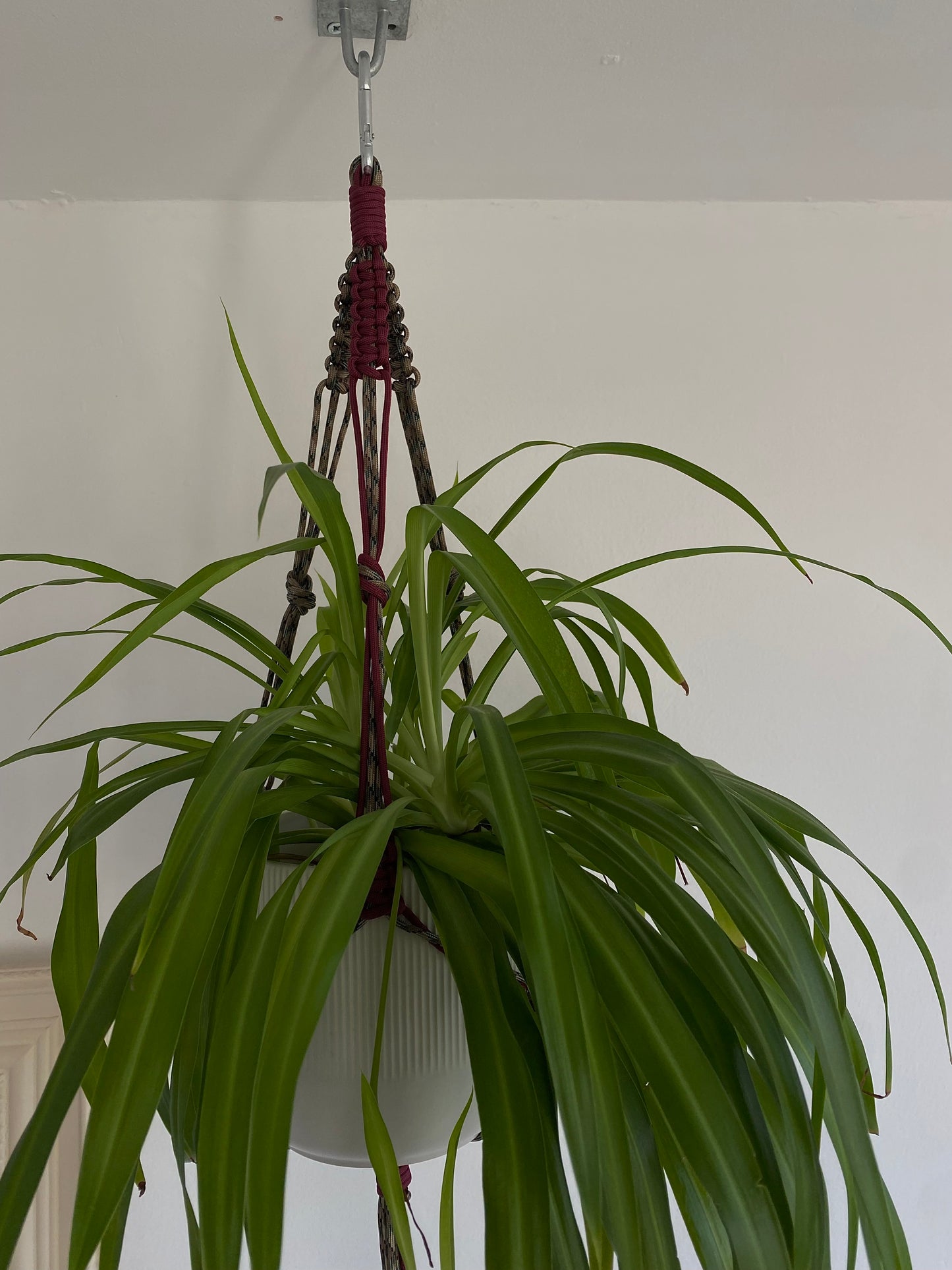 plant hanger//beige/deep red